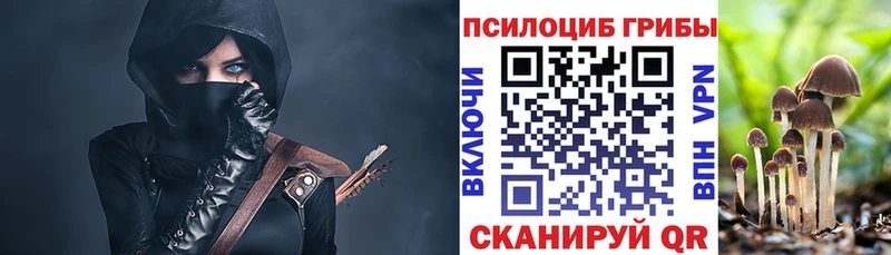 закладка  Вышний Волочёк  Галлюциногенные грибы GOLDEN TEACHER 